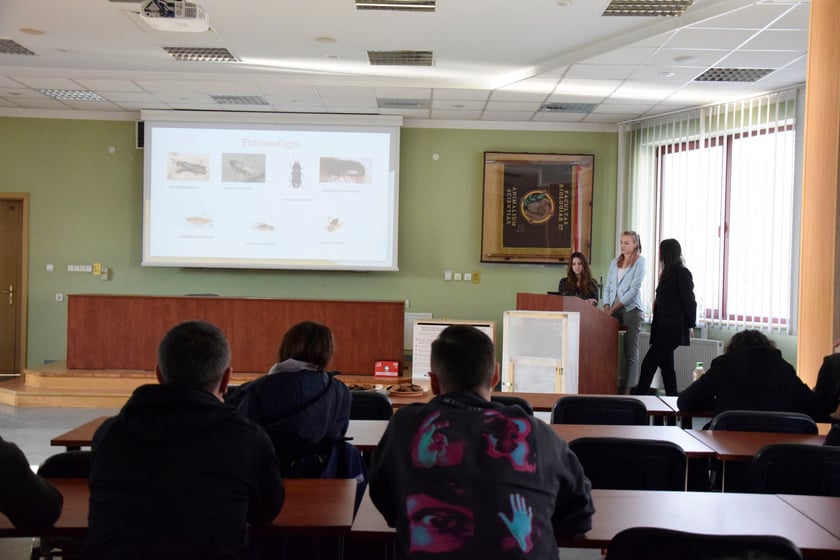 Prezentacja projektu studentów UPWr dotyczącego muchy czarnej