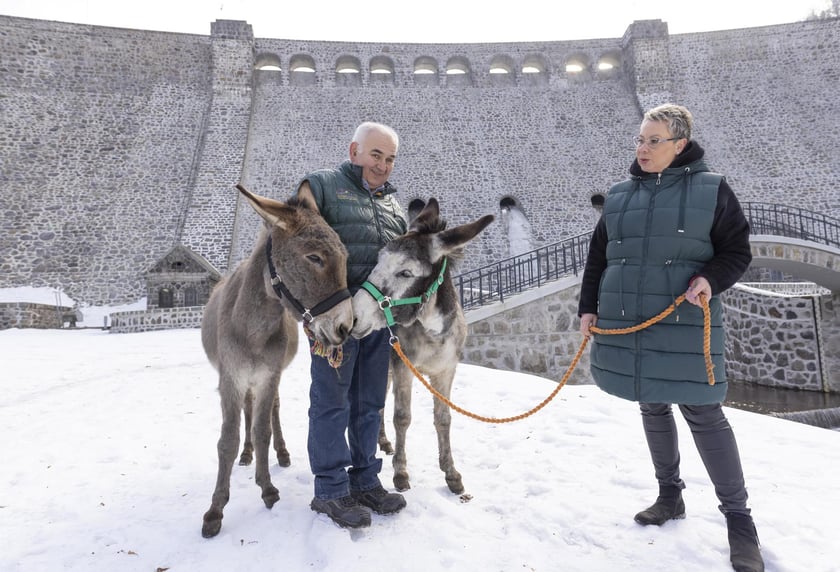 Osiołki Kuba i Luna z Lubachowa oraz ich właściciele na tle zapory wodnej, która zagrała w filmie