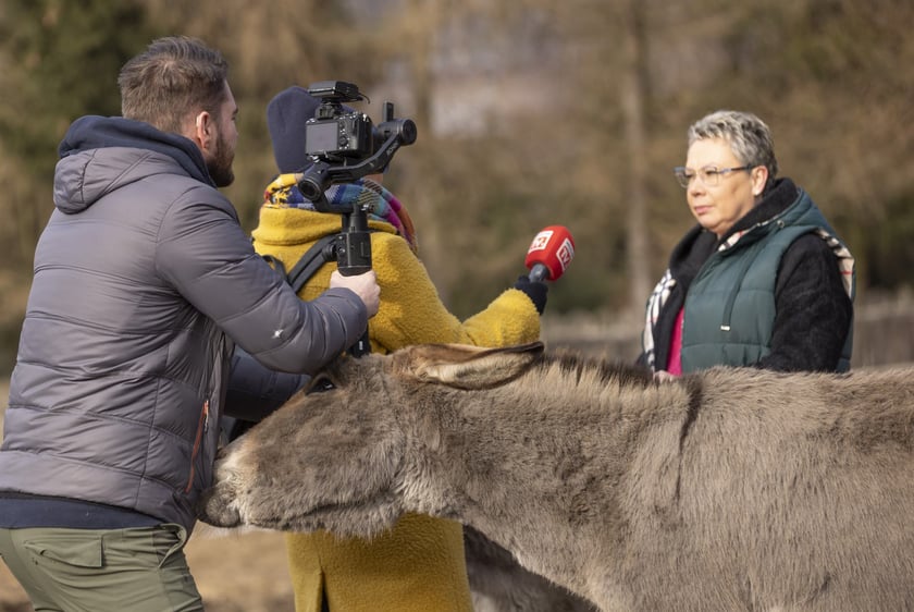 Osiołek Kuba z Lubachowa oraz jego właścicielka i nasza ekipa