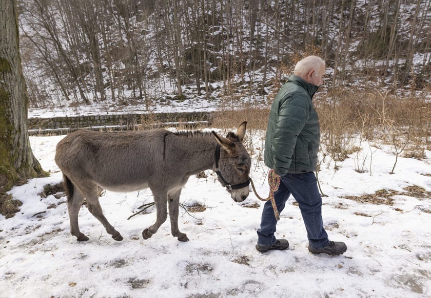 Osiołek Kuba z Lubachowa oraz jego właściciel