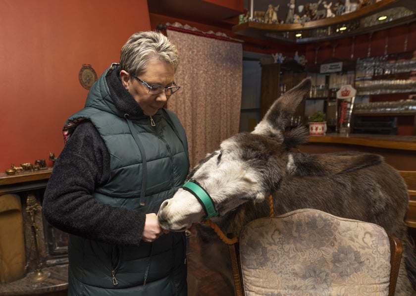 Osiołek z Lubachowa oraz jego właścicielka