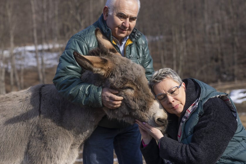 Osiołek Kuba z Lubachowa oraz jego właściciele