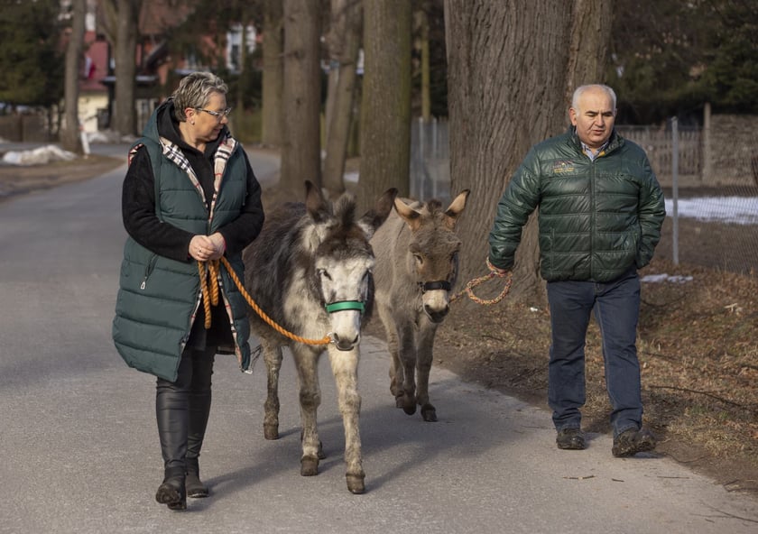 Osiołki z Lubachowa oraz ich właściciele