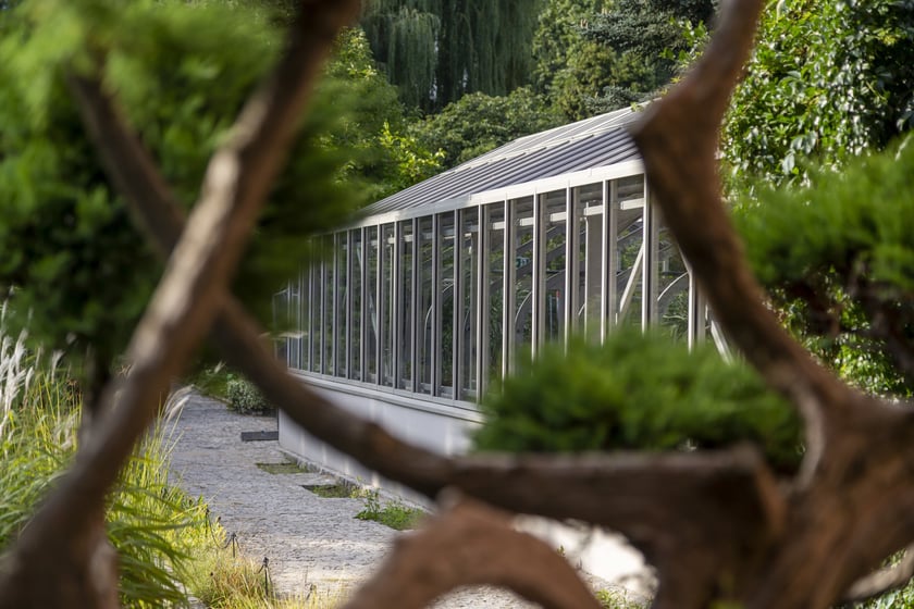 Nowe szklarnie w Ogrodzie Botanicznym