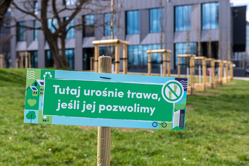 Piknik Zielona Legnicka, 25 marca 2023