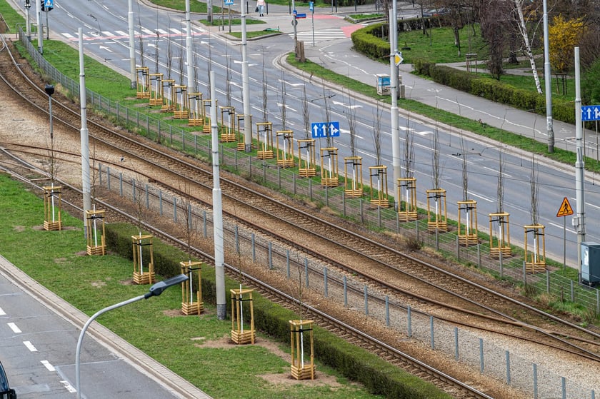 Piknik Zielona Legnicka, 25 marca 2023