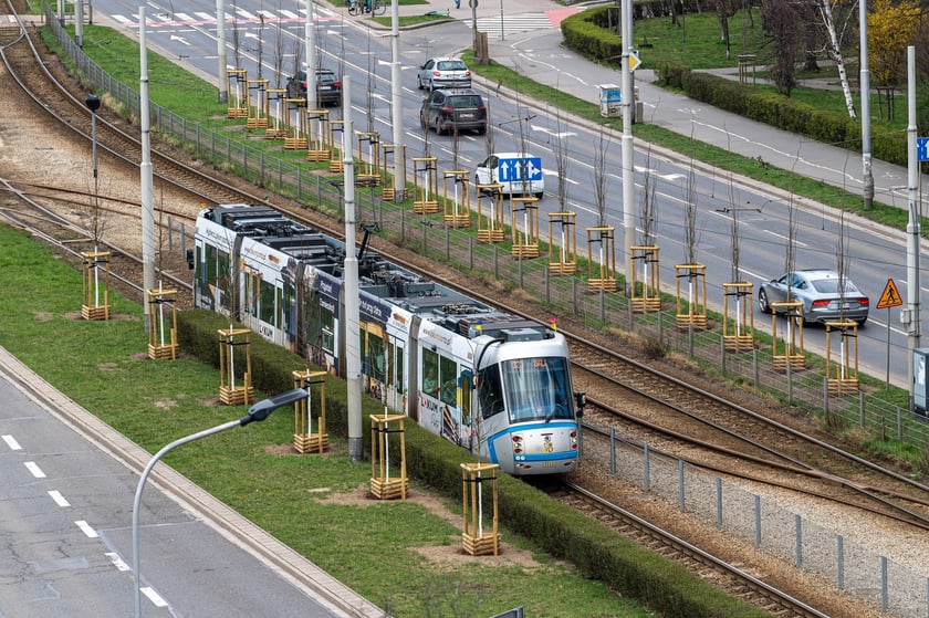 Piknik Zielona Legnicka, 25 marca 2023