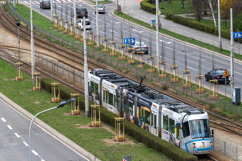 Piknik Zielona Legnicka, 25 marca 2023