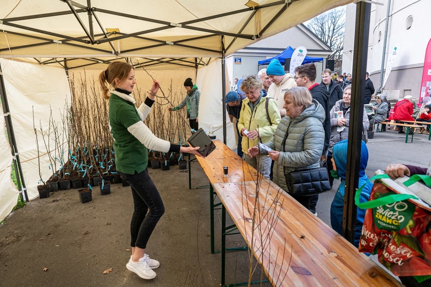 Piknik Zielona Legnicka, 25 marca 2023