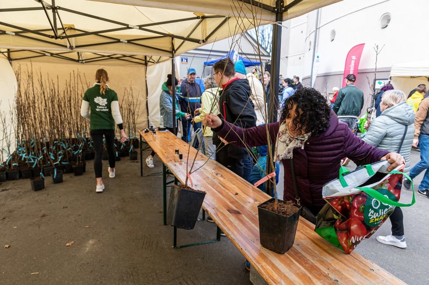 Piknik Zielona Legnicka, 25 marca 2023