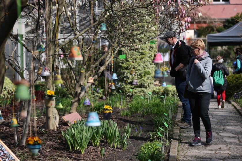 Festiwal Magnolii w Ogrodzie Botanicznym