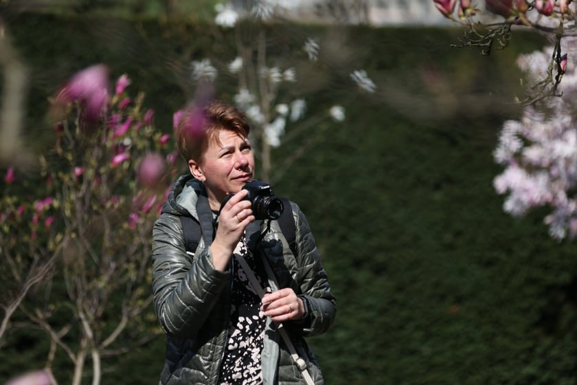 Festiwal Magnolii w Ogrodzie Botanicznym