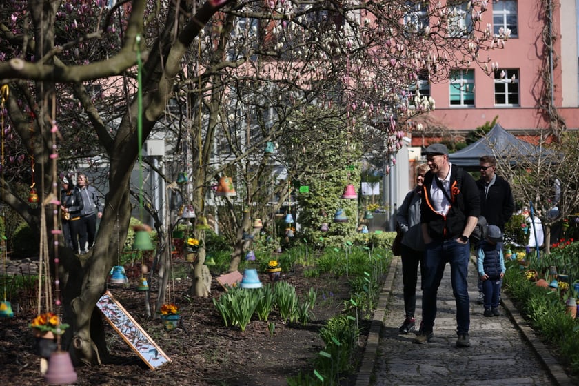 Festiwal Magnolii w Ogrodzie Botanicznym
