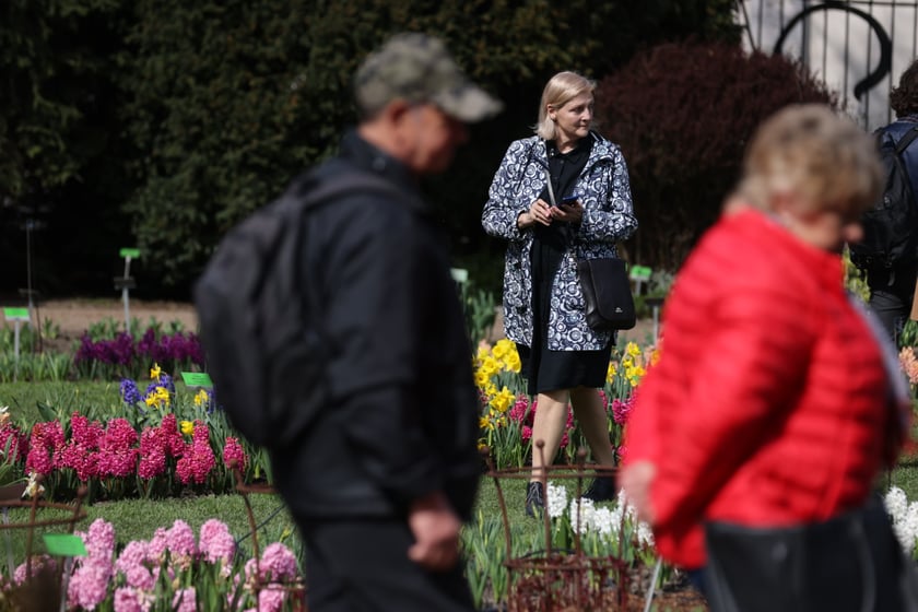 Festiwal Magnolii w Ogrodzie Botanicznym