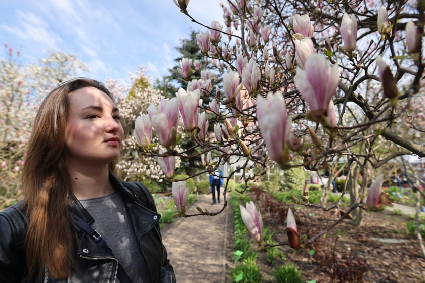 Festiwal Magnolii w Ogrodzie Botanicznym