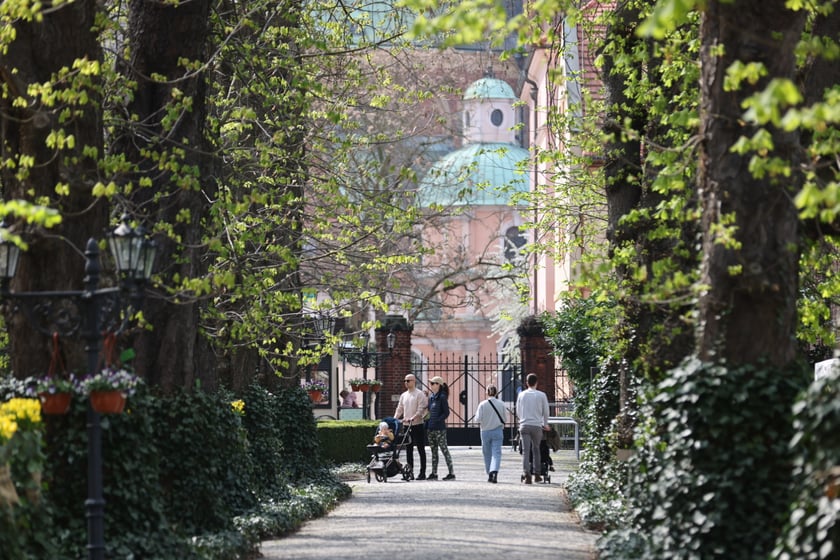 Festiwal Magnolii w Ogrodzie Botanicznym