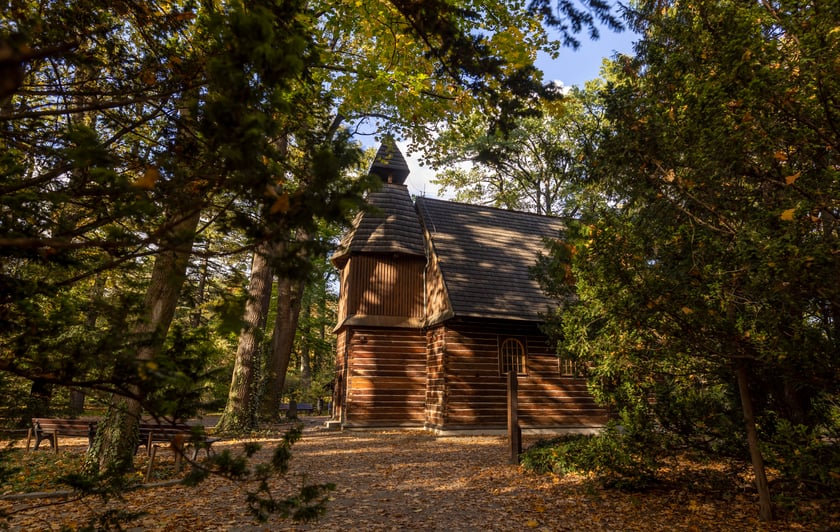 Koroną wszystkich park&oacute;w jest najstarszy, chyba największy i najczęściej odwiedzany obiekt jakim jest park Szczytnicki. Powstał już w XVIII w. i swoją rolę pełni do dziś.
Popularność zawdzięcza ciekawym okazom flory i bliskiej lokalizacji centrum. Jeśli on jest koroną, to perłą w tej koronie jest największa zielona atrakcja turystyczna, czyli Ogr&oacute;d Japoński, kt&oacute;ry jest częścią parku. Gwoli sprawiedliwości trzeba wspomnieć, że sąsiaduje z jeszcze innymi magnesami na turyst&oacute;w czyli ogrodem zoologicznym i Halą 100-lecia oraz Stadionem Olimpijskim.