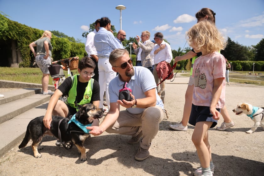 Spacer z bezdomnymi psami po Pergoli
