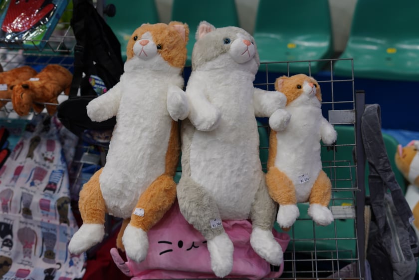 Wystawa kotów rasowych w Orbicie