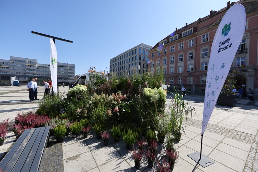 Plac Nowy Targ we Wrocławiu - wrzesień 2023 r.