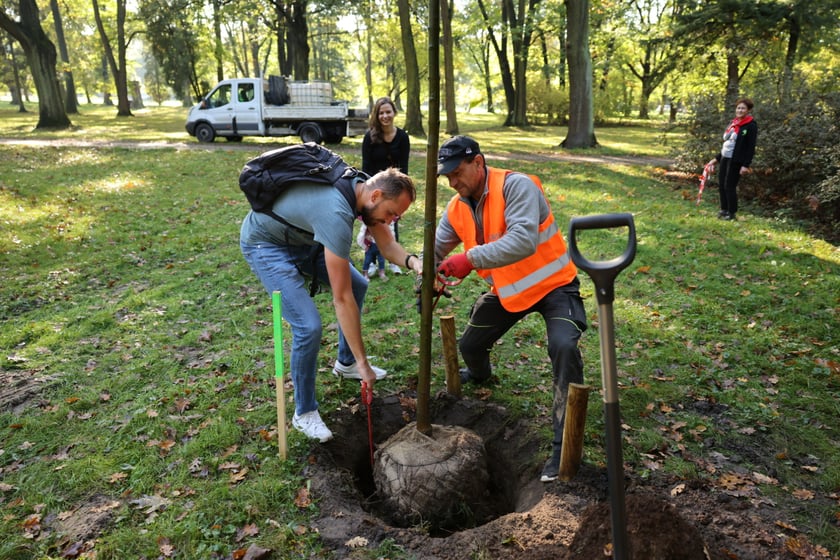 Uczestnicy pikniku WROśnij we WROcław