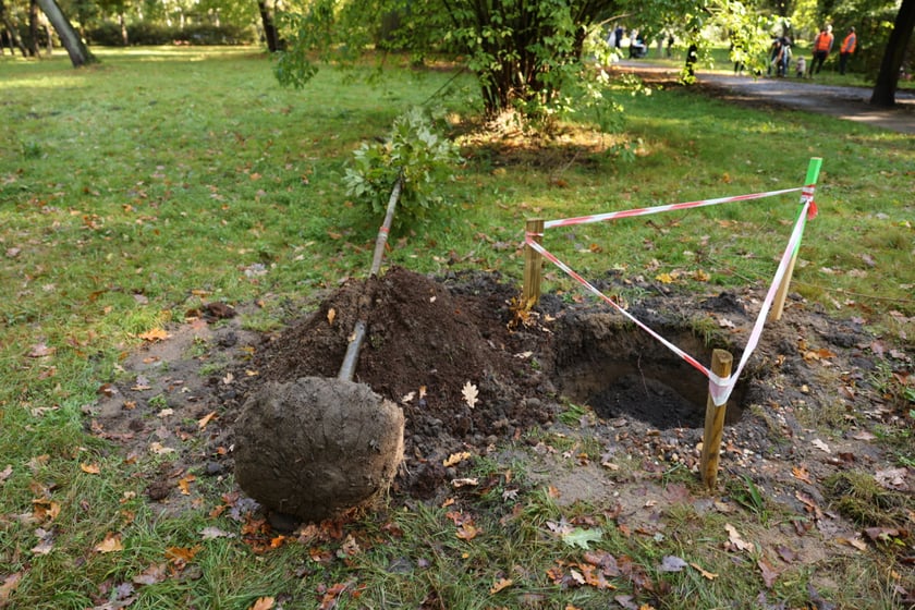 Uczestnicy pikniku WROśnij we WROcław