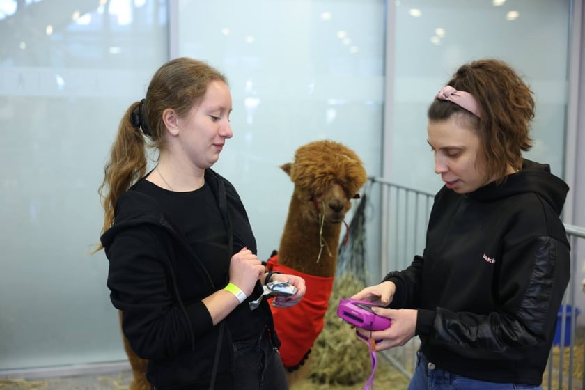 Dolnośląskie Targi Zoologiczne na Tarczyński Arena we Wrocłąwiu