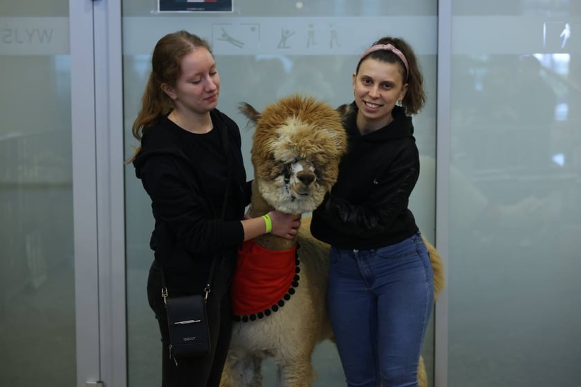 Dolnośląskie Targi Zoologiczne na Tarczyński Arena we Wrocłąwiu