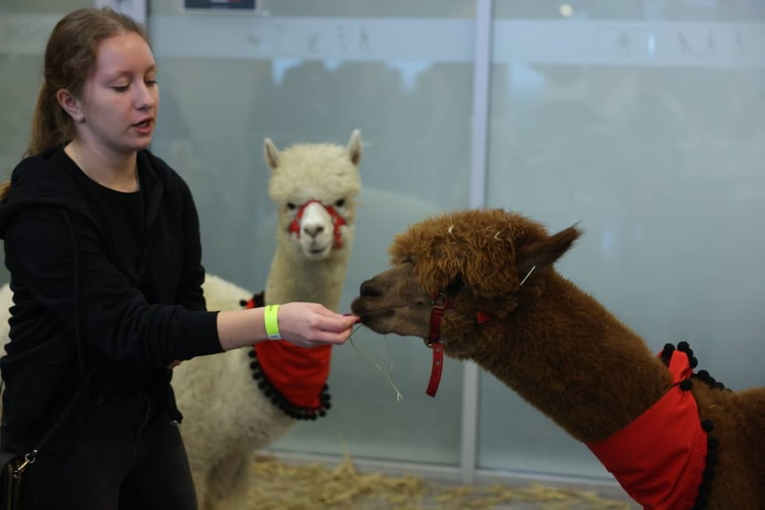 Dolnośląskie Targi Zoologiczne na Tarczyński Arena we Wrocłąwiu