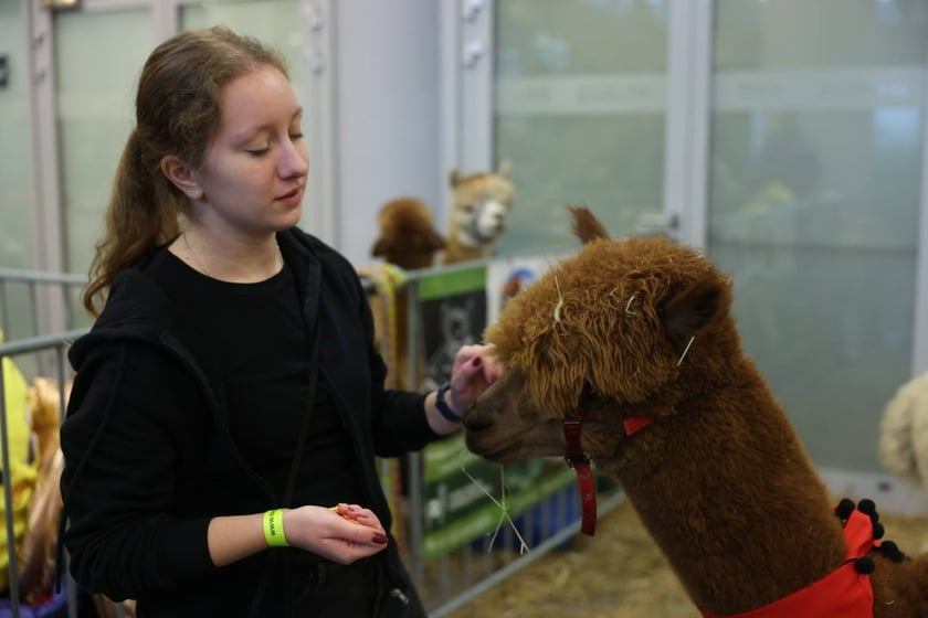 Dolnośląskie Targi Zoologiczne na Tarczyński Arena we Wrocłąwiu