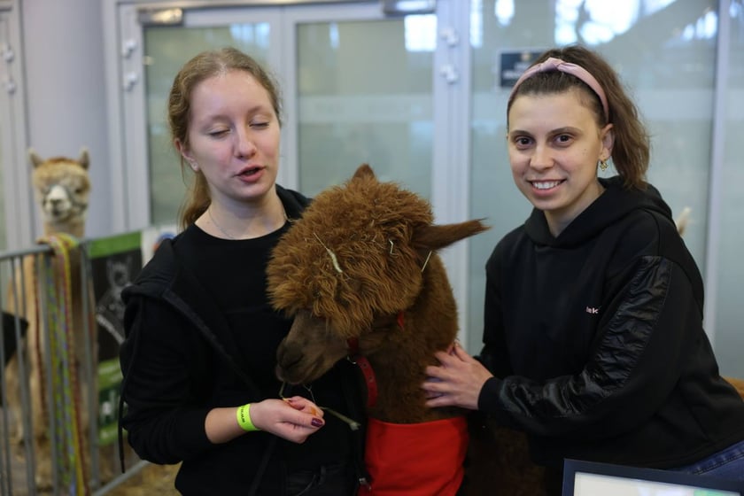 Dolnośląskie Targi Zoologiczne na Tarczyński Arena we Wrocłąwiu