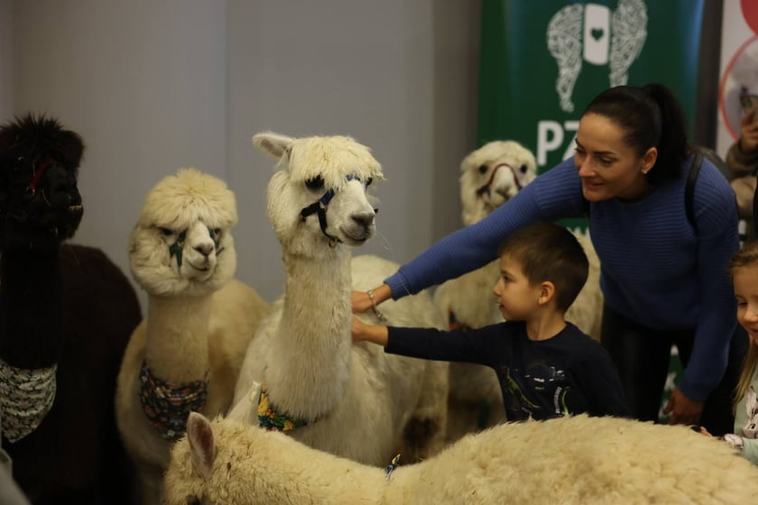 Dolnośląskie Targi Zoologiczne na Tarczyński Arena we Wrocłąwiu
