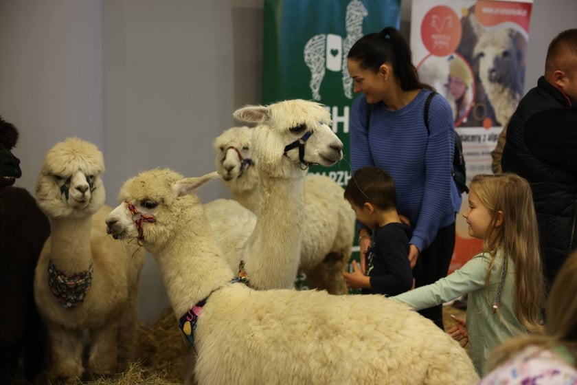 Dolnośląskie Targi Zoologiczne na Tarczyński Arena we Wrocłąwiu