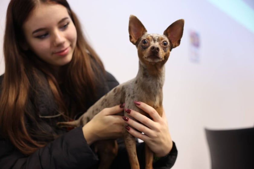 Dolnośląskie Targi Zoologiczne na Tarczyński Arena we Wrocłąwiu
