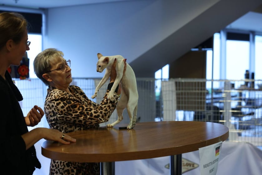 Dolnośląskie Targi Zoologiczne na Tarczyński Arena we Wrocłąwiu