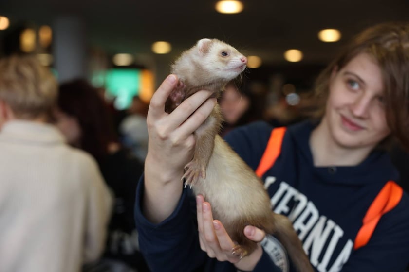 Dolnośląskie Targi Zoologiczne na Tarczyński Arena we Wrocłąwiu