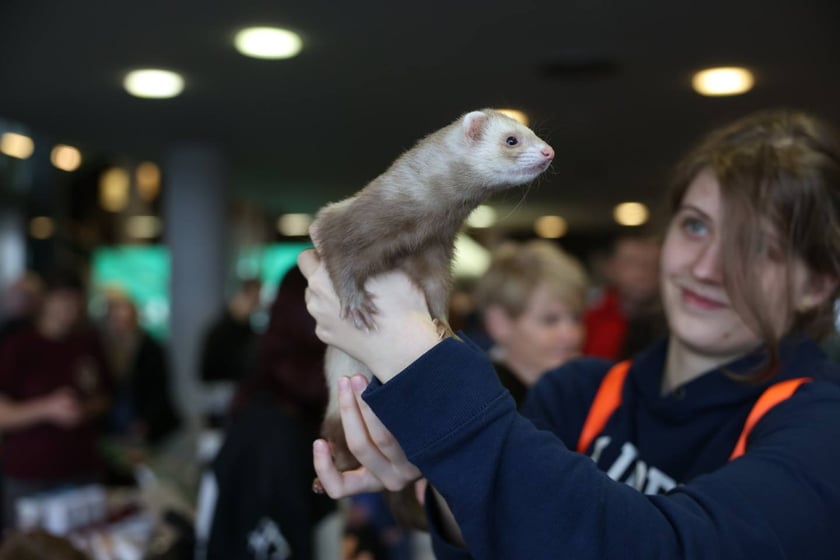 Dolnośląskie Targi Zoologiczne na Tarczyński Arena we Wrocłąwiu