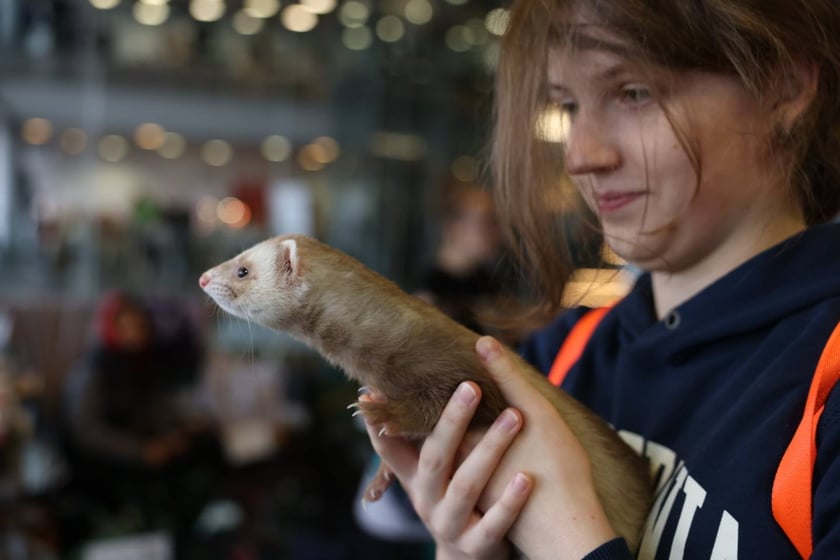 Dolnośląskie Targi Zoologiczne na Tarczyński Arena we Wrocłąwiu