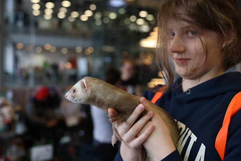 Dolnośląskie Targi Zoologiczne na Tarczyński Arena we Wrocłąwiu
