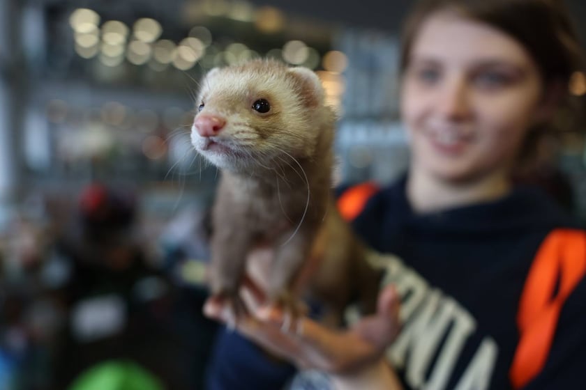 Dolnośląskie Targi Zoologiczne na Tarczyński Arena we Wrocłąwiu