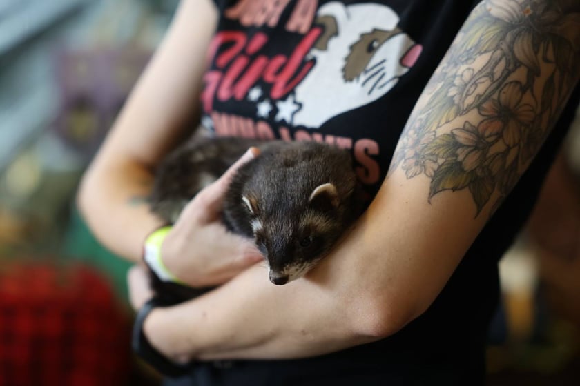 Dolnośląskie Targi Zoologiczne na Tarczyński Arena we Wrocłąwiu