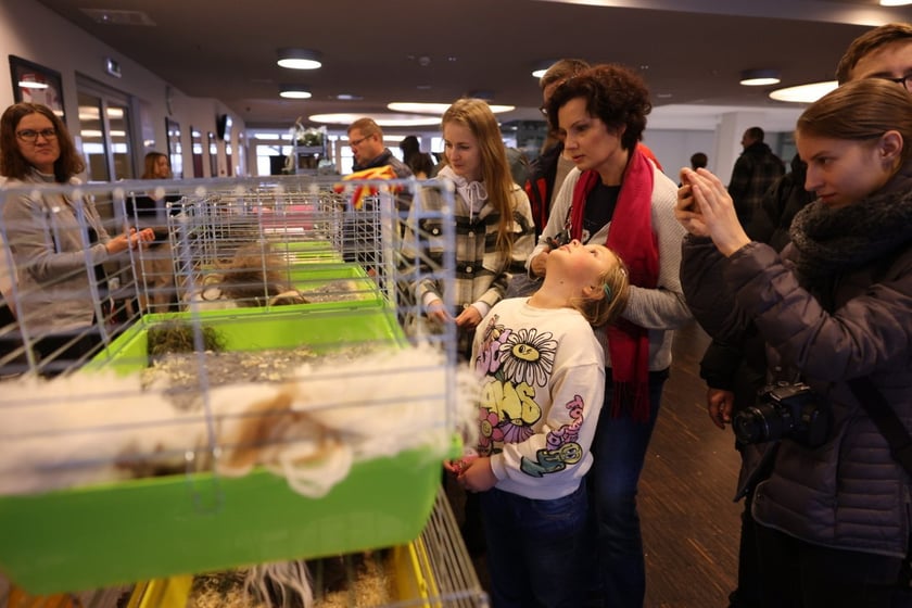 Dolnośląskie Targi Zoologiczne na Tarczyński Arena we Wrocłąwiu