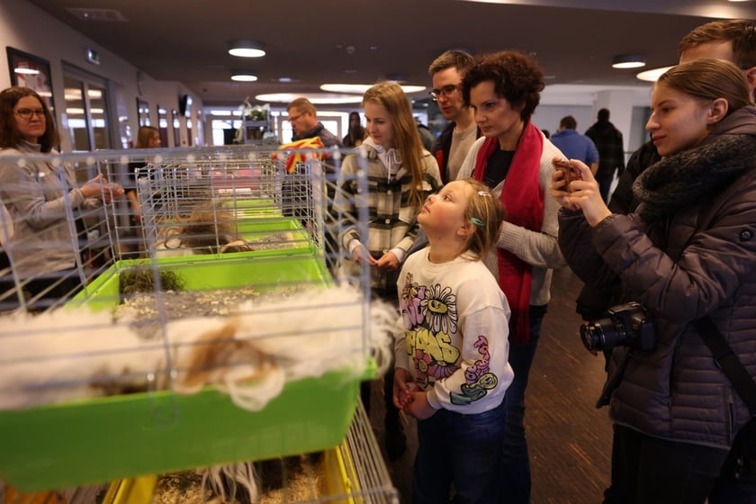 Dolnośląskie Targi Zoologiczne na Tarczyński Arena we Wrocłąwiu