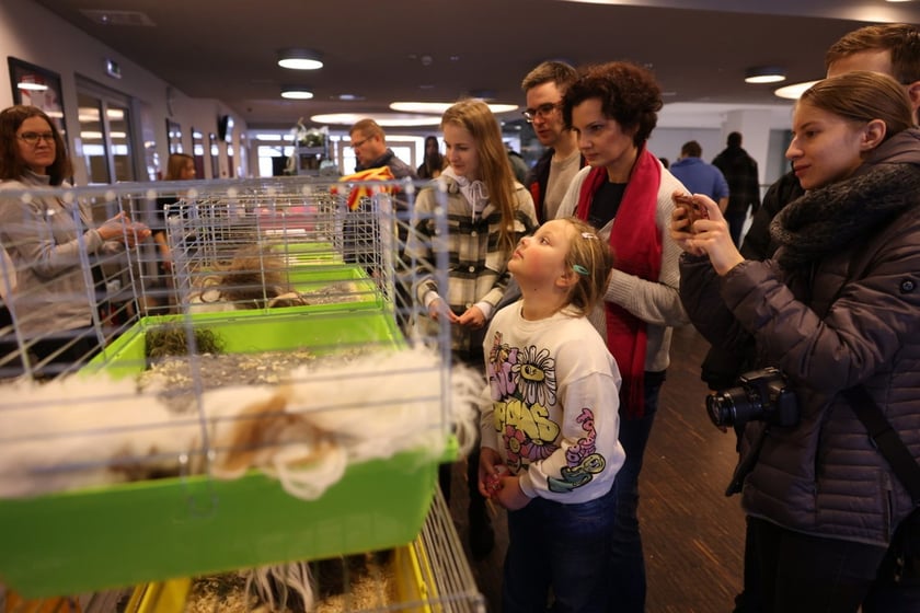 Dolnośląskie Targi Zoologiczne na Tarczyński Arena we Wrocłąwiu