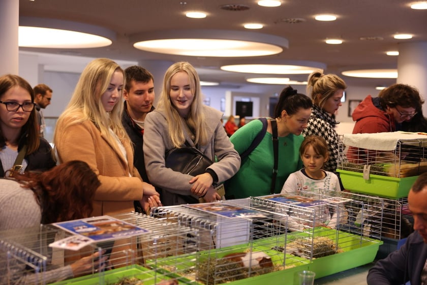 Dolnośląskie Targi Zoologiczne na Tarczyński Arena we Wrocłąwiu
