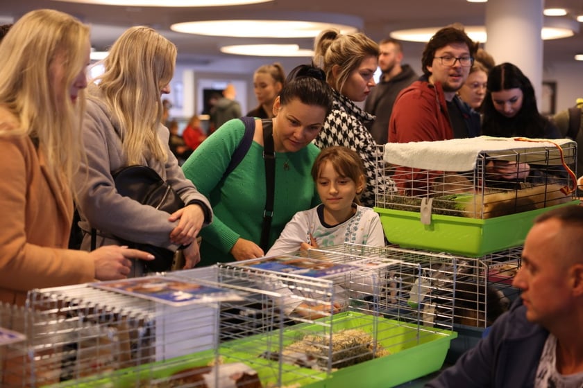 Dolnośląskie Targi Zoologiczne na Tarczyński Arena we Wrocłąwiu