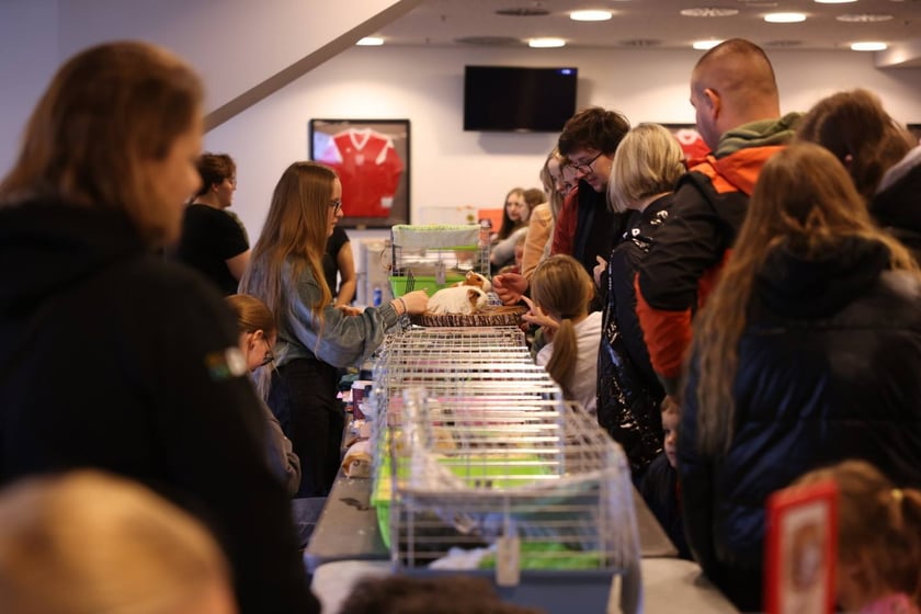 Dolnośląskie Targi Zoologiczne na Tarczyński Arena we Wrocłąwiu