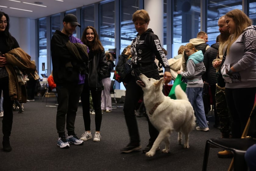 Dolnośląskie Targi Zoologiczne na Tarczyński Arena we Wrocłąwiu
