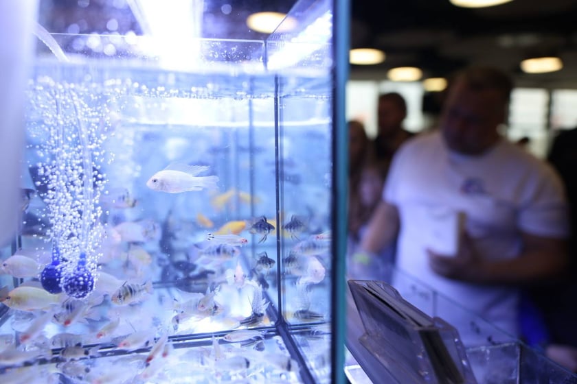 Dolnośląskie Targi Zoologiczne na Tarczyński Arena we Wrocłąwiu