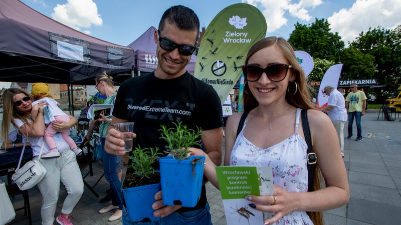 Pikniki Zielonego Wrocławia to wiele atrakcji dla dużych i małych, fot. UMW